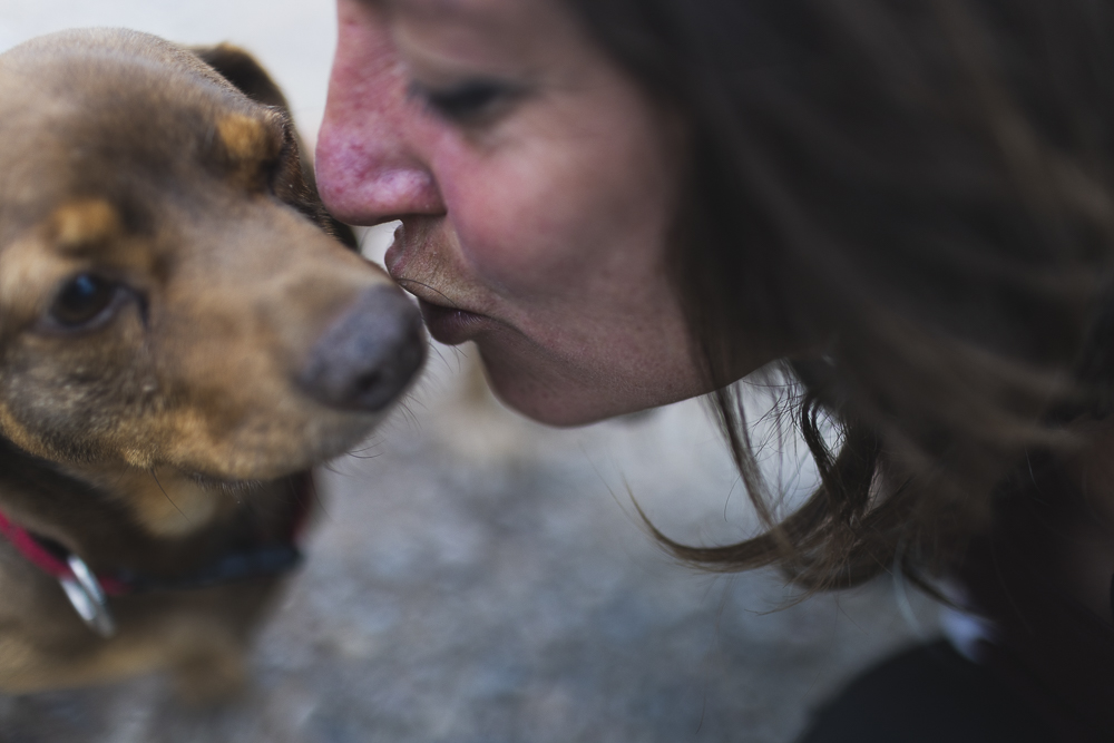 violeta veterinaria veterinario a domicilio animales perro gato gallina alto palencia valencia castellón