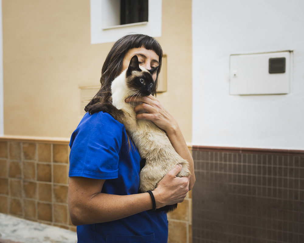 violeta veterinaria veterinario a domicilio animales perro gato gallina alto palencia valencia castellón