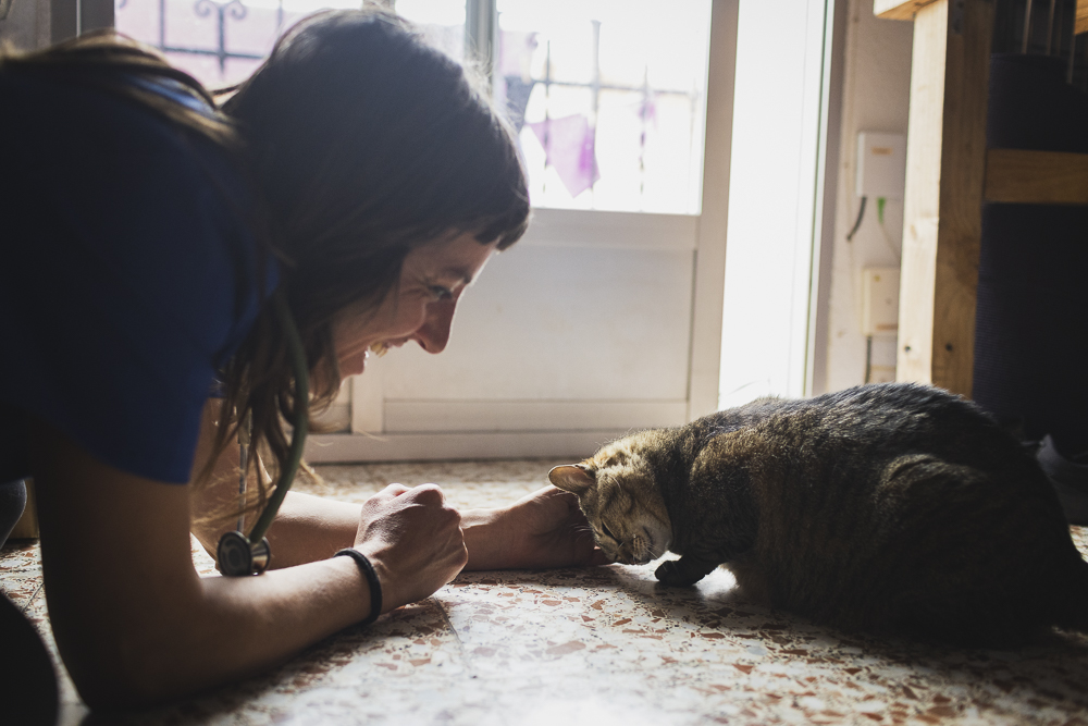 violeta veterinaria veterinario a domicilio animales perro gato gallina alto palencia valencia castellón