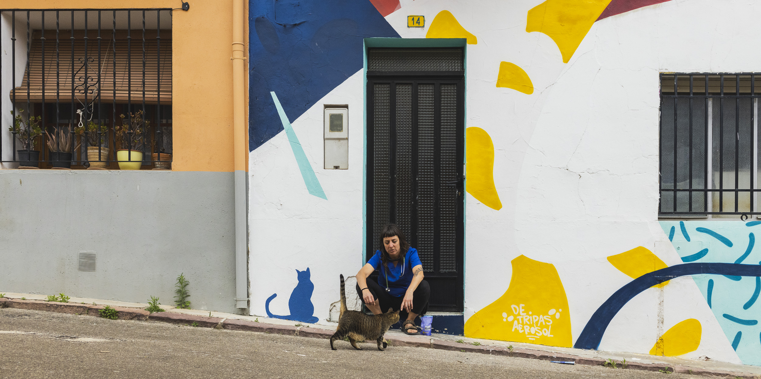 violeta veterinaria veterinario a domicilio animales perro gato gallina alto palencia valencia castellón