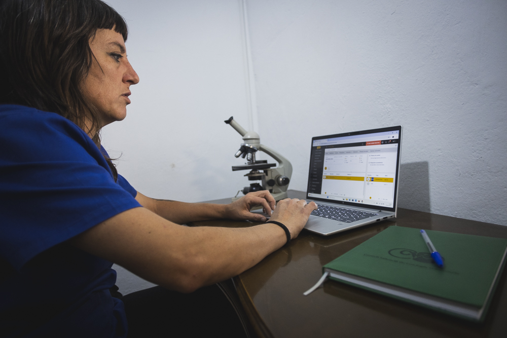 _P2A1493 violeta veterinaria veterinario a domicilio animales perro gato gallina alto palencia valencia castellón