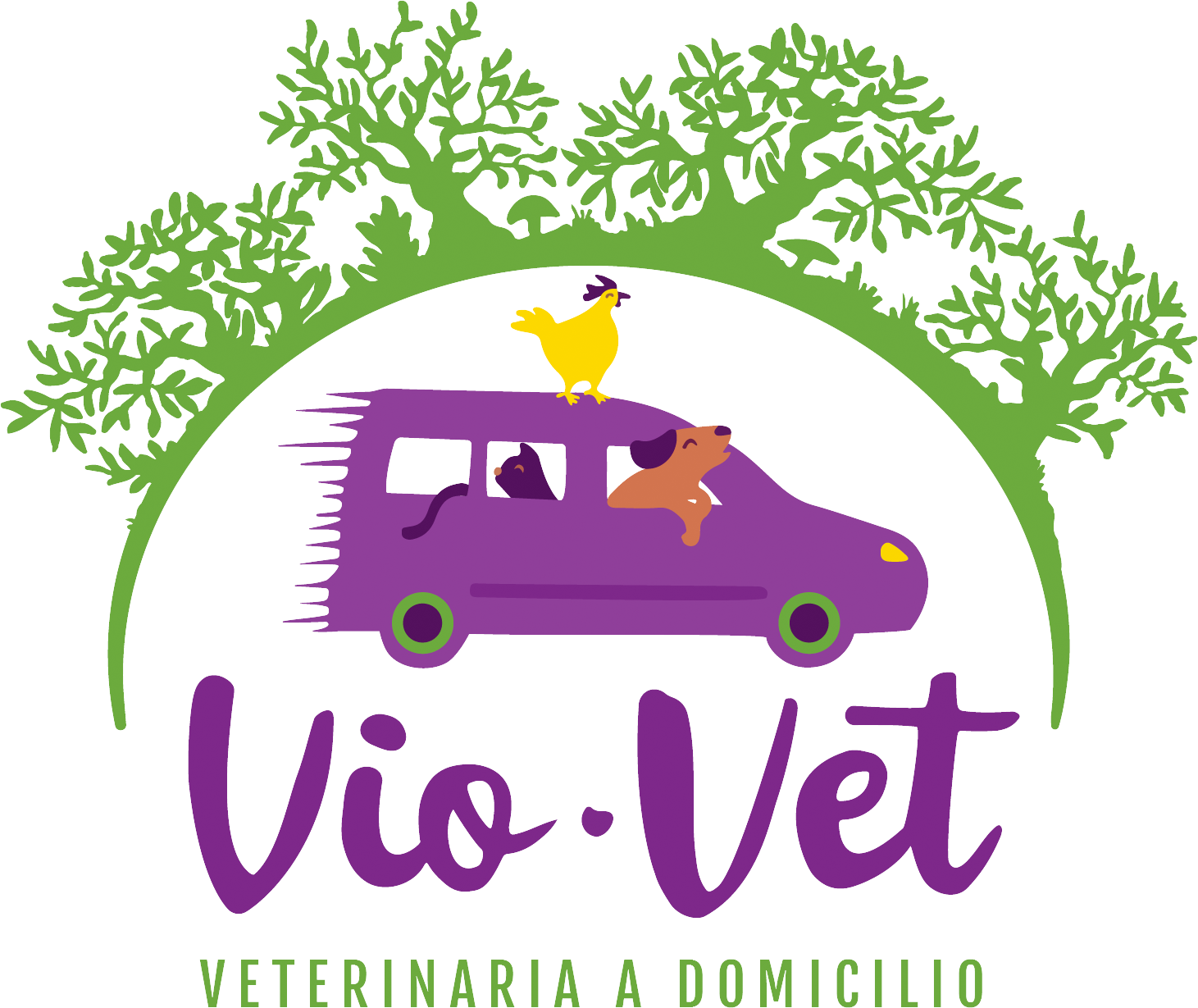 viovet veterinaria a domicilio alto palancia